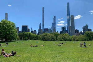 Sheep Meadow