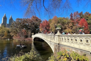 Bow Bridge, and lake